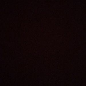 Meet your Posher, Luis